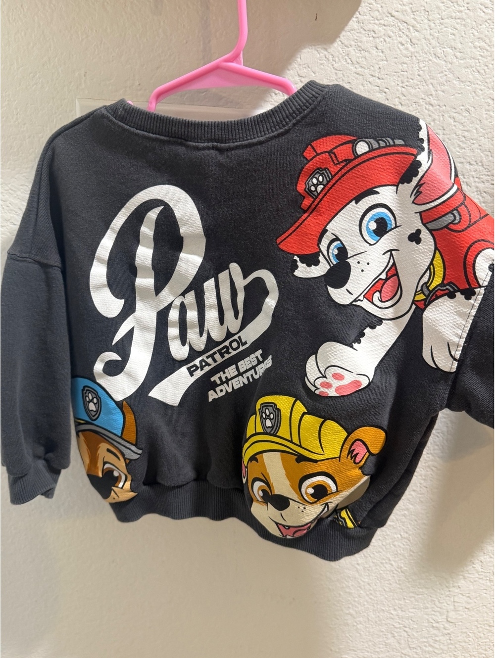 Zara Paw Patrol Graphic Sweatshirt
